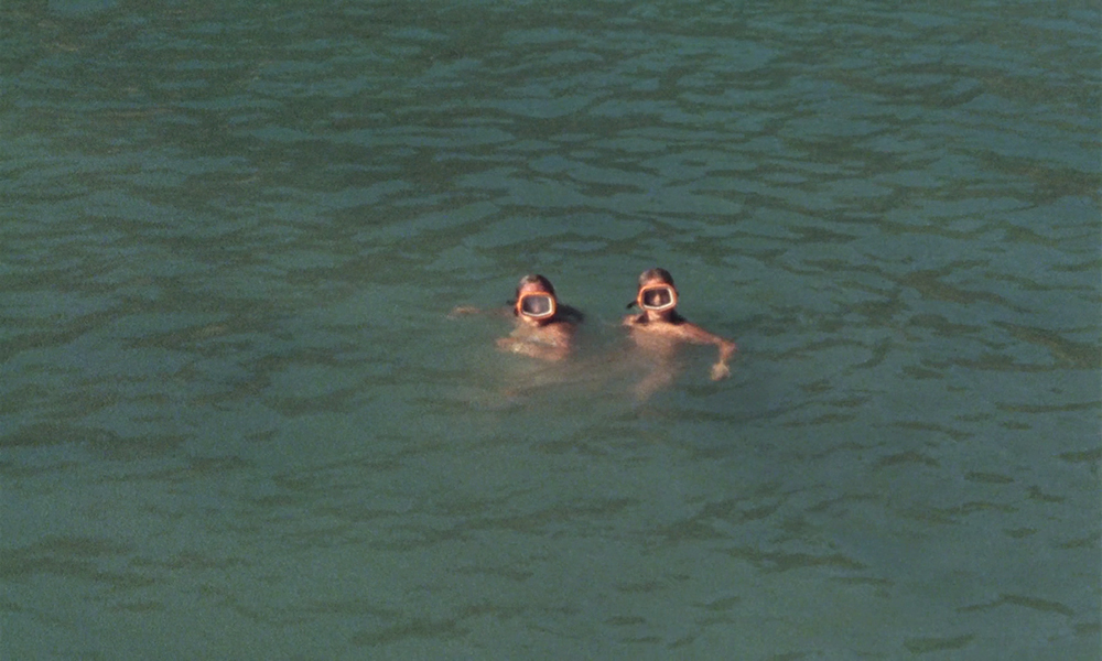 Le rayon vert (Éric Rohmer, 1986) Le rayon vert (Éric Rohmer, 1986)