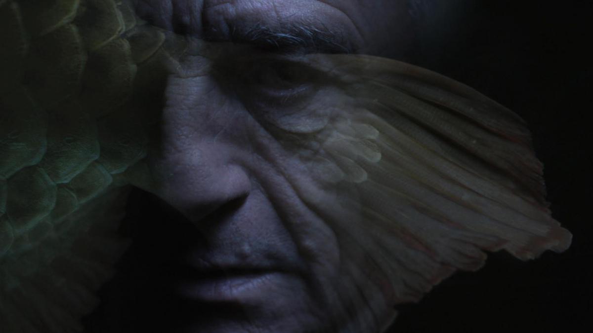 Malgré la nuit (Philippe Grandrieux, 2015)