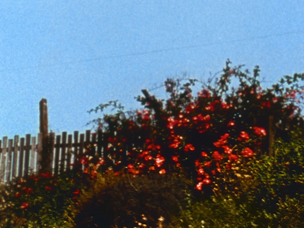 All My Life (Bruce Baillie, 1966)