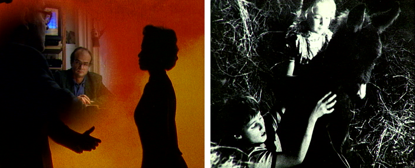 (5) Histoire(s) du cinéma (Jean-Luc Godard, 1988-1998)
