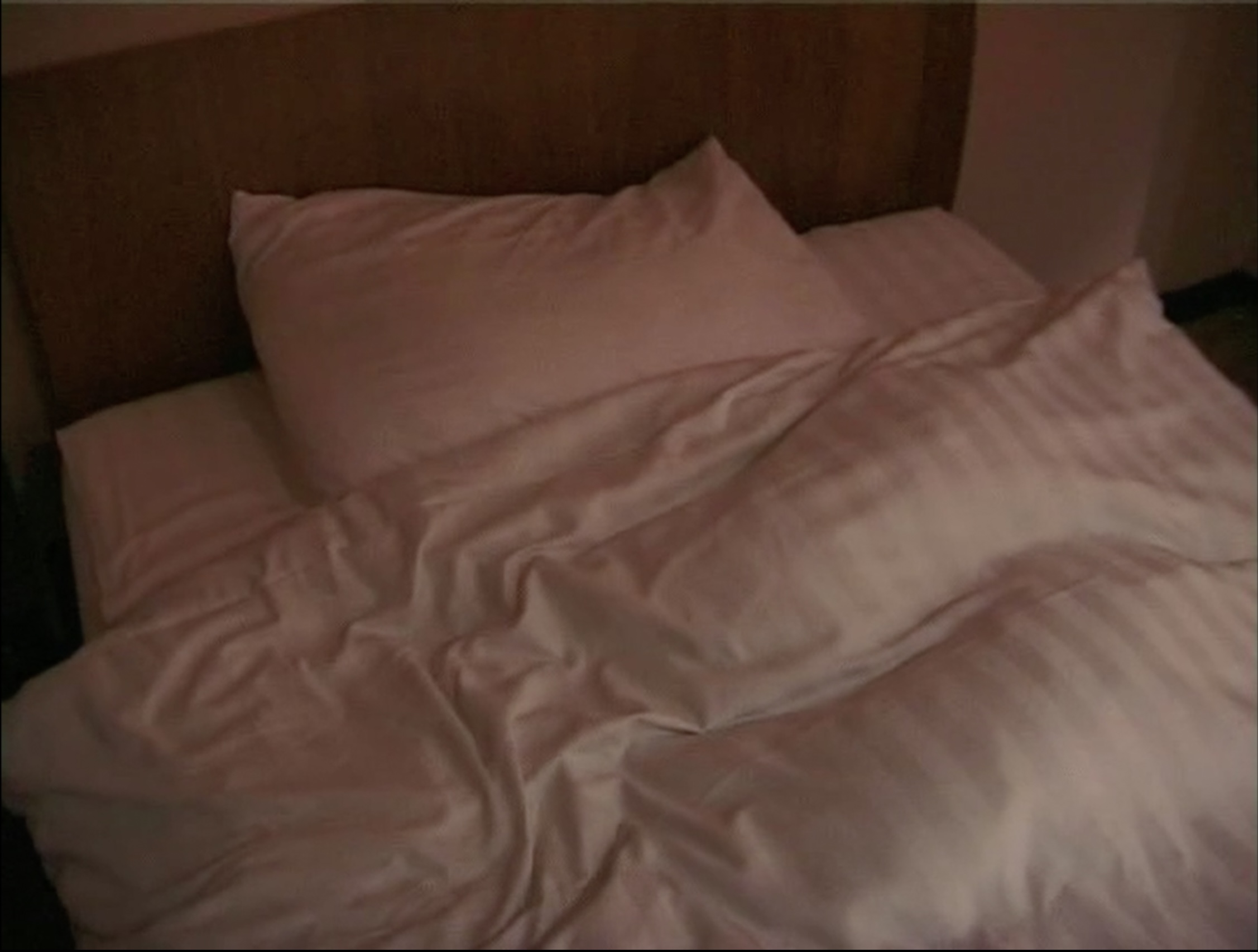 (7) Hotel Diaries (John Smith, 2001-07)