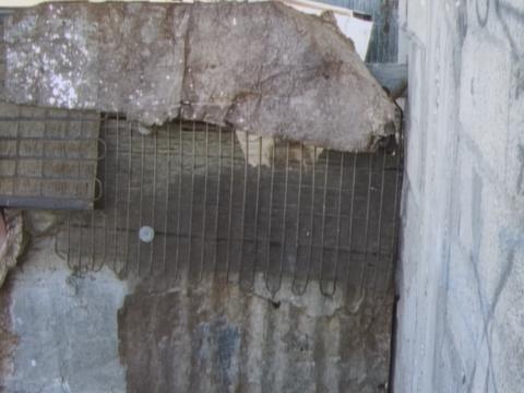 With Hasan in Gaza (Kamal Aljafari, 2025) | © Kamal Aljafari Productions