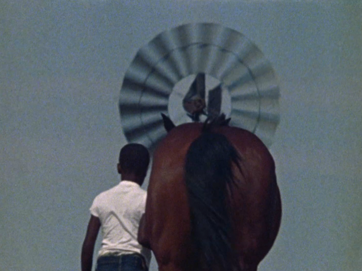 (5) The Horse (Charles Burnett, 1973)