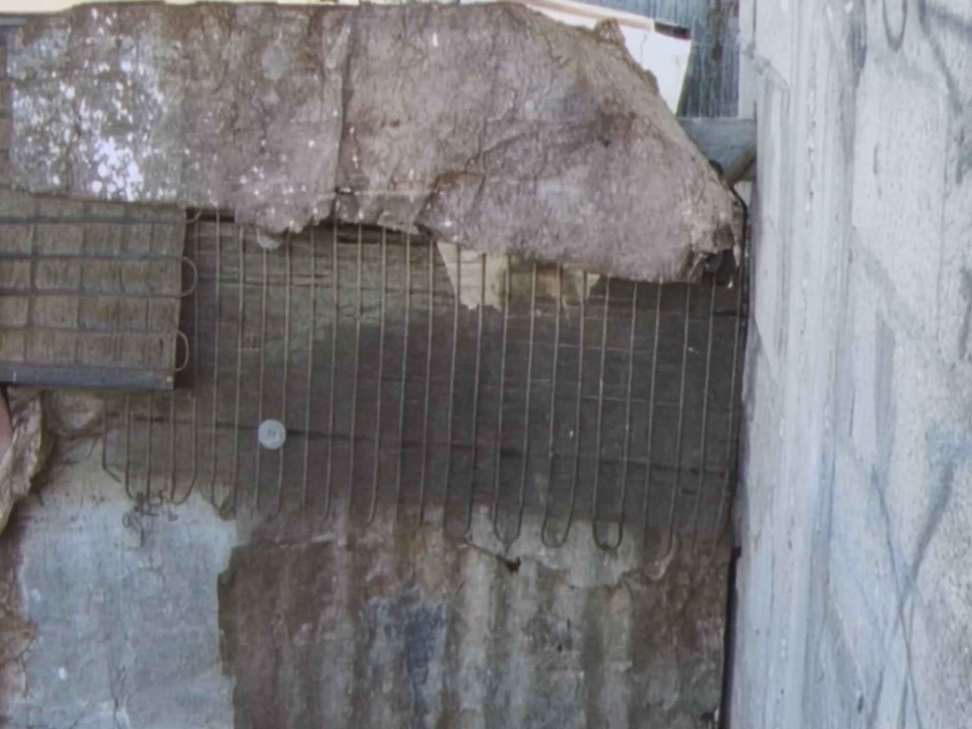 With Hasan in Gaza (Kamal Aljafari, 2025) | © Kamal Aljafari Productions